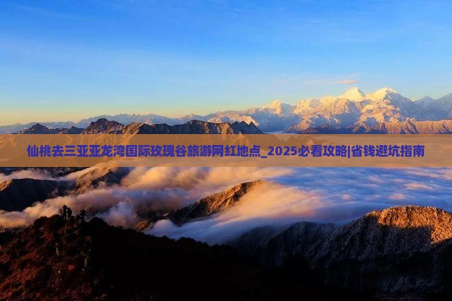 仙桃去三亚亚龙湾国际玫瑰谷旅游网红地点
