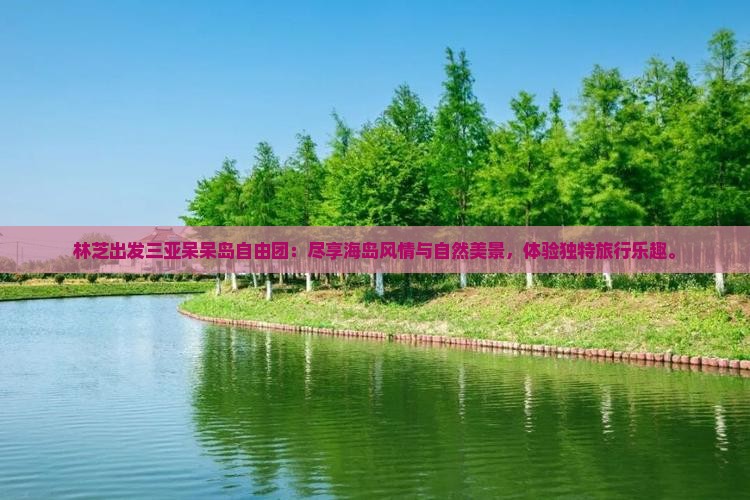 林芝出发三亚呆呆岛自由团