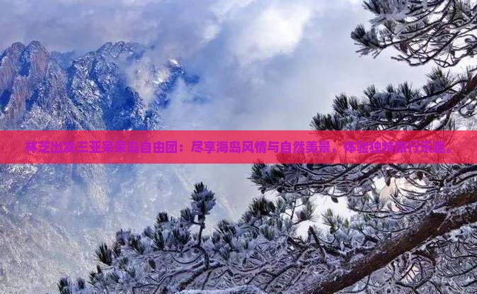 林芝出发三亚呆呆岛自由团