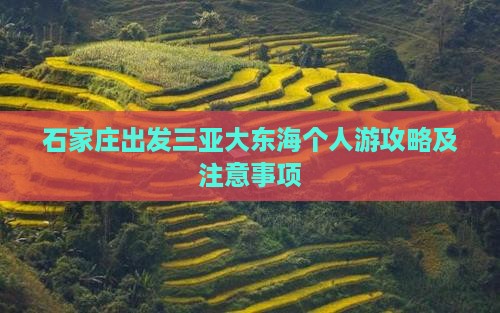 石家庄出发三亚大东海个人游