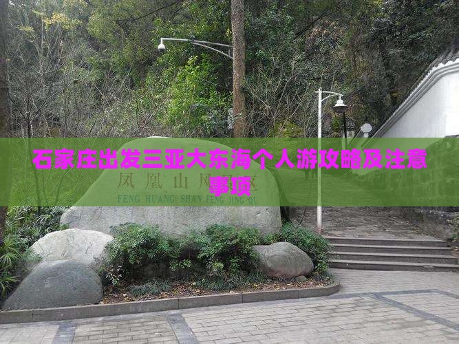 石家庄出发三亚大东海个人游