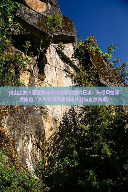 舟山出发三亚亚龙湾热带森林公园六日游