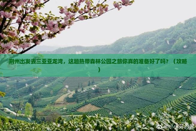 荆州出发三亚亚龙湾热带森林公园必玩地 荆州出发三亚亚龙湾热带森林公园必玩地