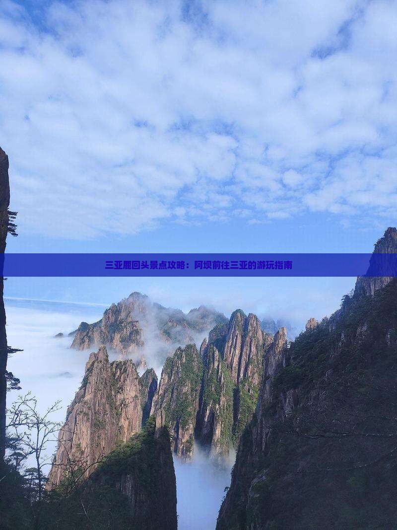 阿坝前往三亚鹿回头哪里玩