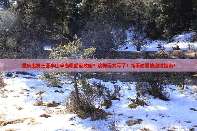 重庆出发三亚半山半岛帆船港攻略