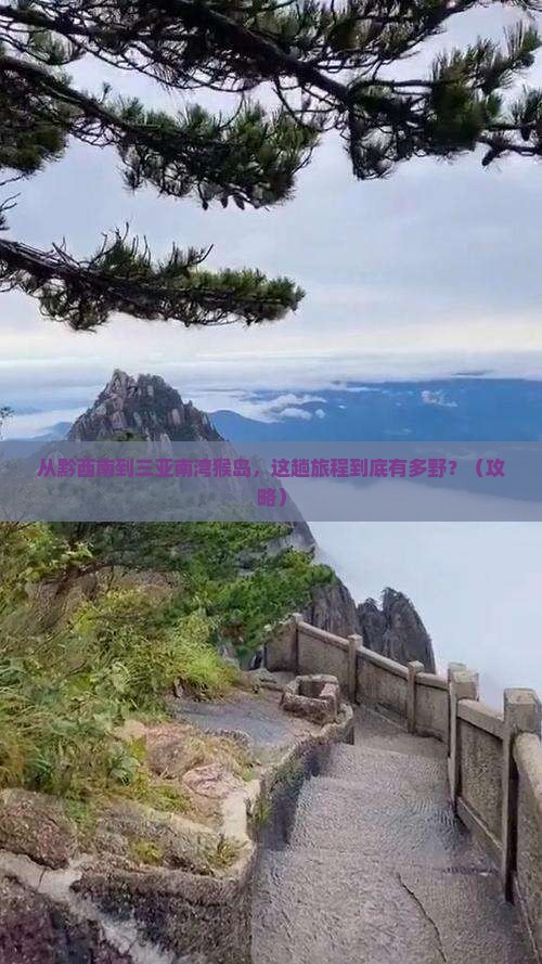 黔西南去三亚南湾猴岛必玩地