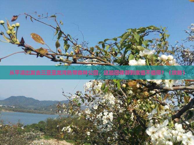 平凉出发三亚亚龙湾热带森林公园团体旅游