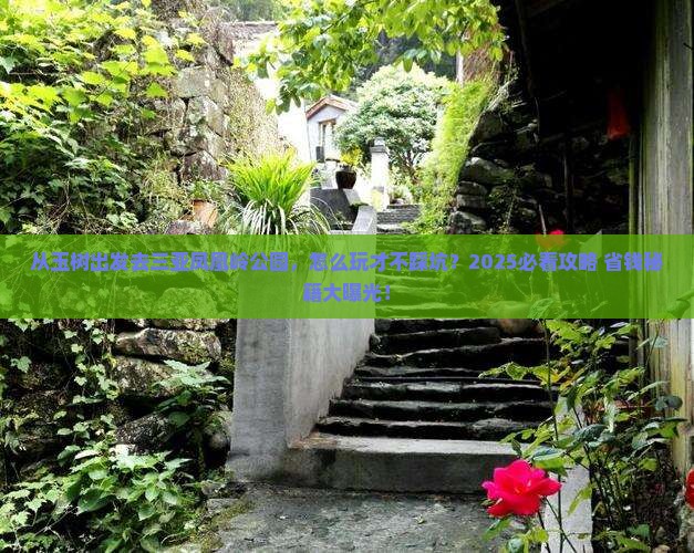 玉树出发三亚凤凰岭公园必玩地
