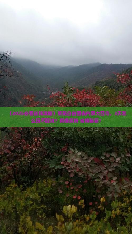 莱芜去内蒙大召寺自由团