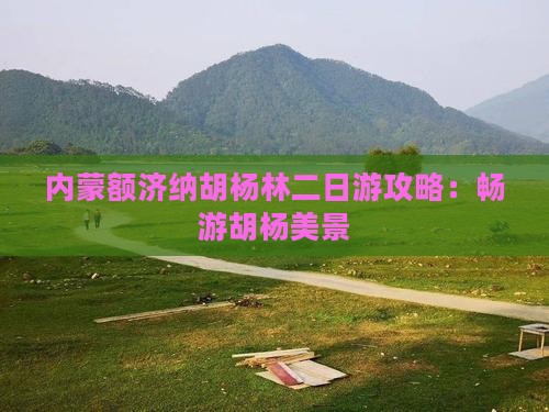 铜仁去内蒙额济纳胡杨林二日游