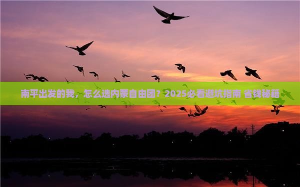 南平到内蒙自由团