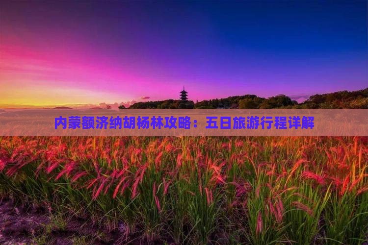 呼伦贝尔到内蒙额济纳胡杨林五日游