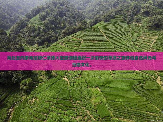 海北去内蒙希拉穆仁草原大型旅游团