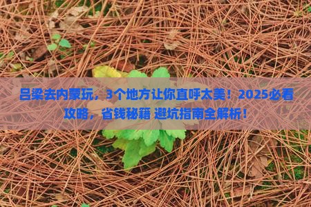 吕梁到内蒙哪里玩