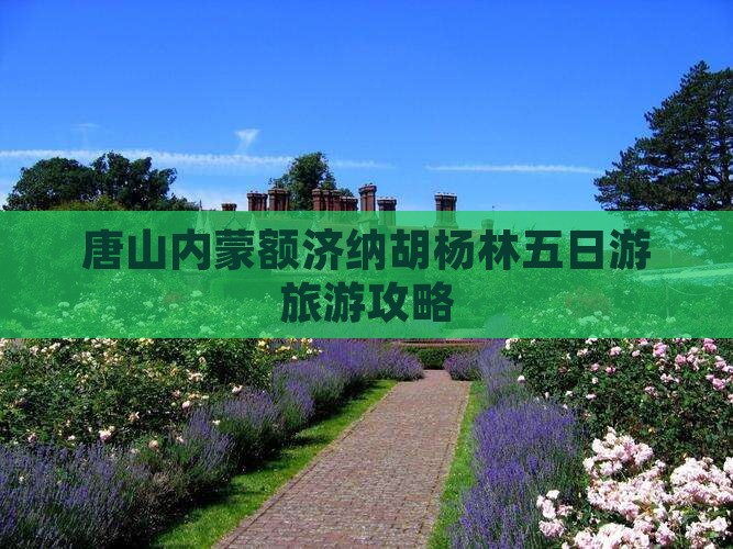 唐山到内蒙额济纳胡杨林五日游