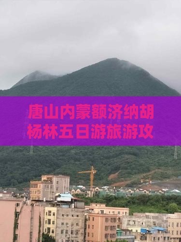 唐山到内蒙额济纳胡杨林五日游