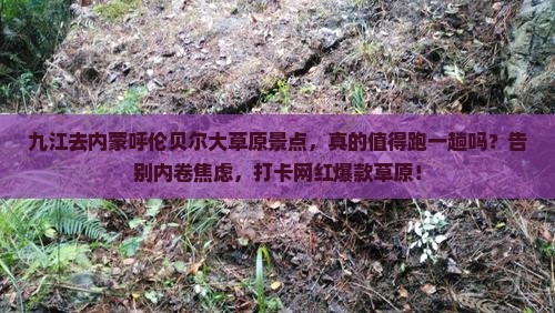 九江去内蒙呼伦贝尔大草原景点