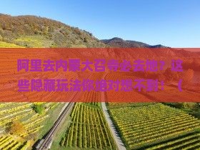 阿里去内蒙大召寺必去地