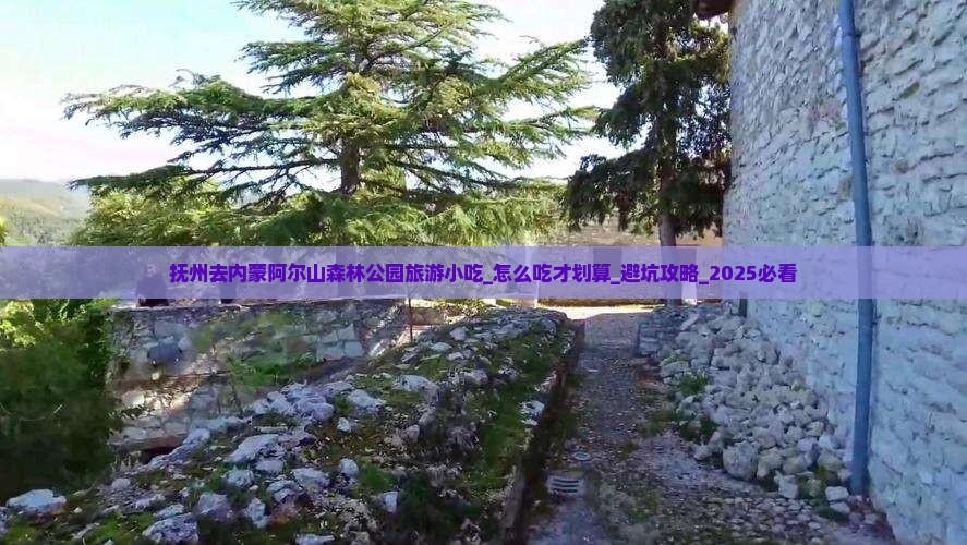 抚州去内蒙阿尔山国家森林公园旅游小吃