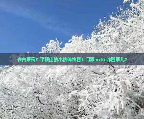 平顶山去内蒙门票