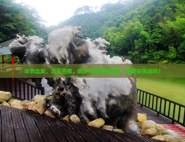 毕节到内蒙响沙湾五日游