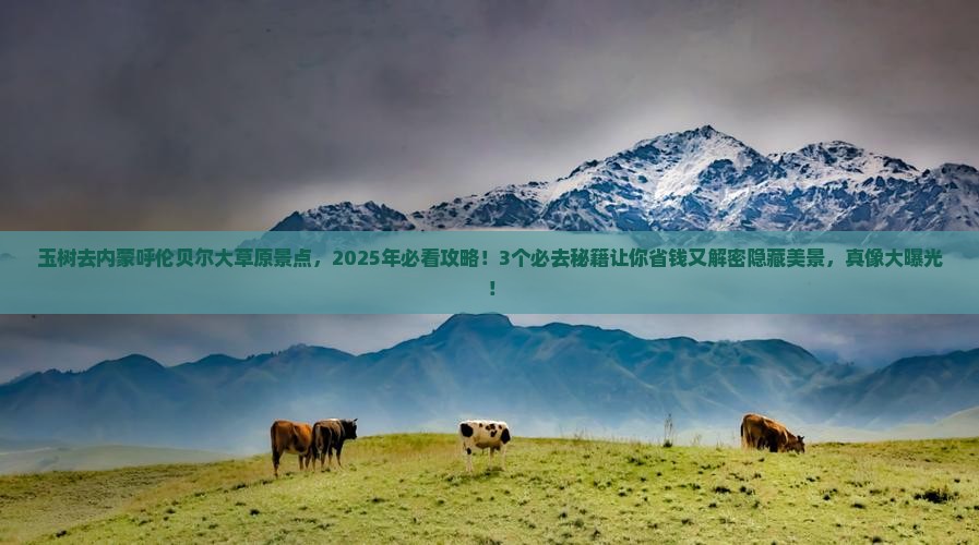 玉树去内蒙呼伦贝尔大草原景点