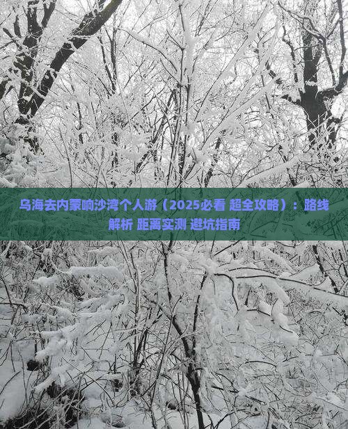 乌海去内蒙响沙湾个人游