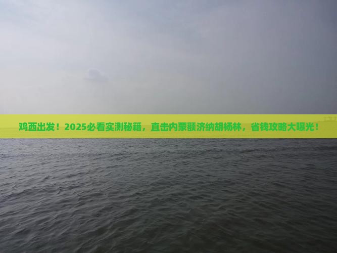 鸡西到内蒙额济纳胡杨林旅游
