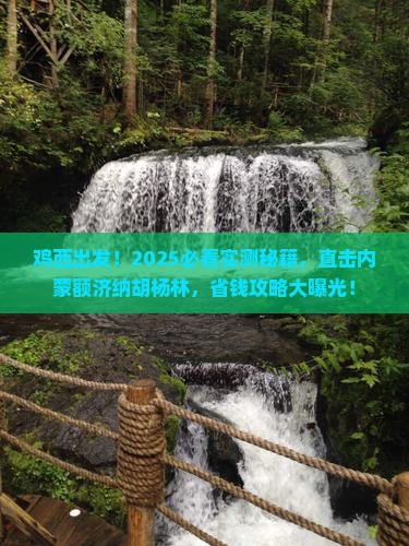 鸡西到内蒙额济纳胡杨林旅游