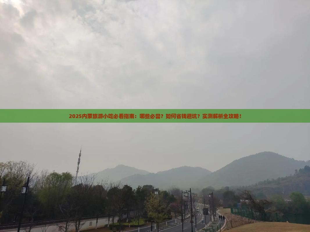 来宾到内蒙旅游小吃