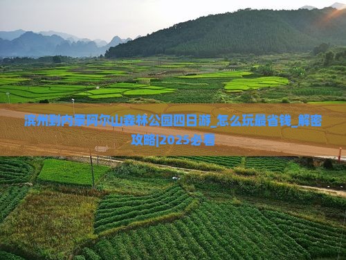 滨州到内蒙阿尔山国家森林公园四日游