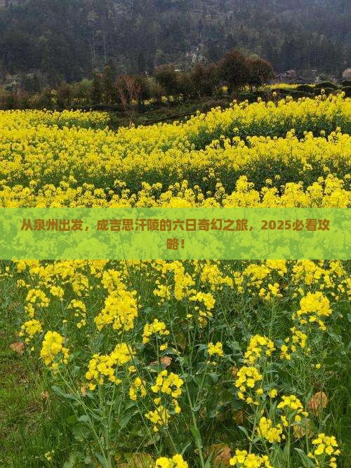 泉州去内蒙成吉思汗陵六日游