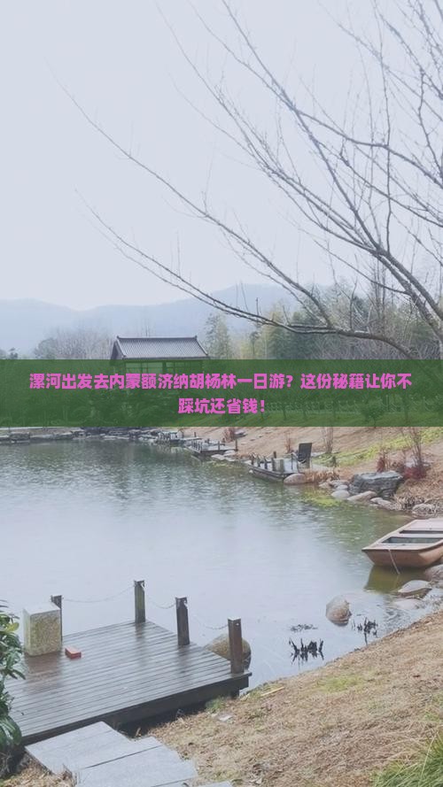 漯河去内蒙额济纳胡杨林一日游