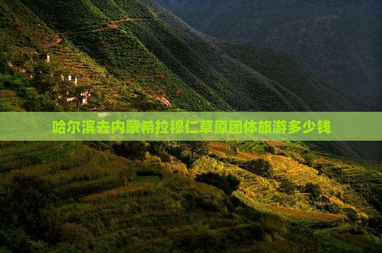 哈尔滨去内蒙希拉穆仁草原团体旅游