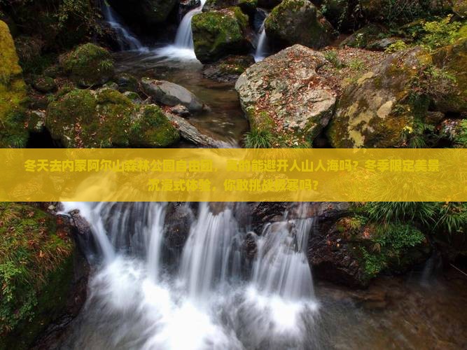 冬天去内蒙阿尔山国家森林公园自由团