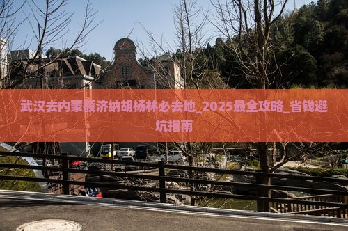武汉去内蒙额济纳胡杨林必去地