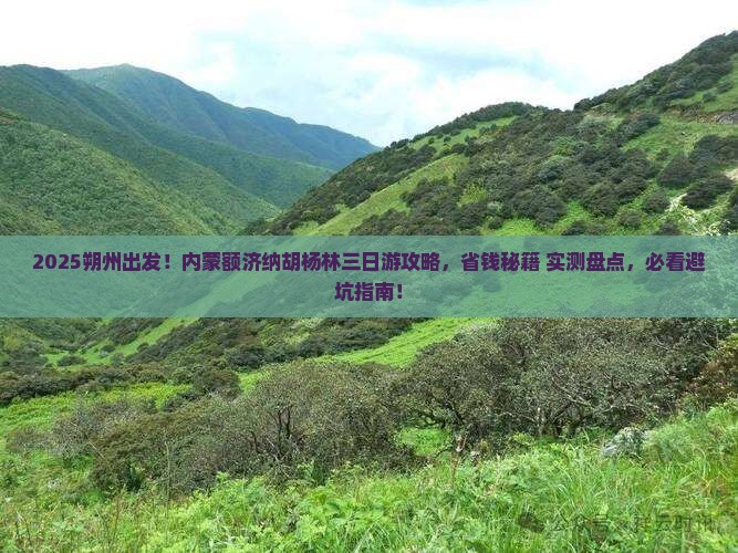 朔州去内蒙额济纳胡杨林三日游