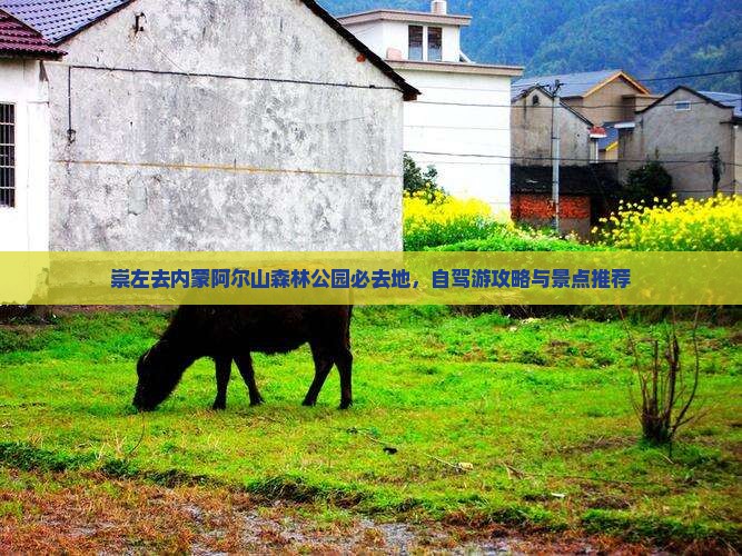 崇左去内蒙阿尔山国家森林公园必去地