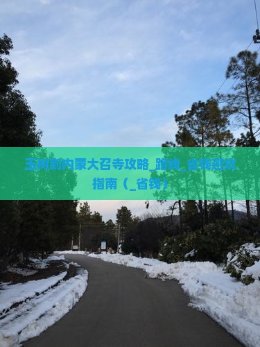 玉树到内蒙大召寺攻略