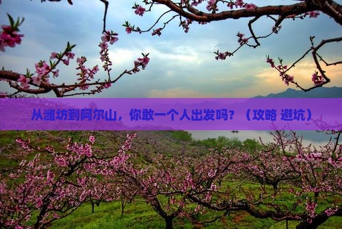 潍坊到内蒙阿尔山国家森林公园个人游