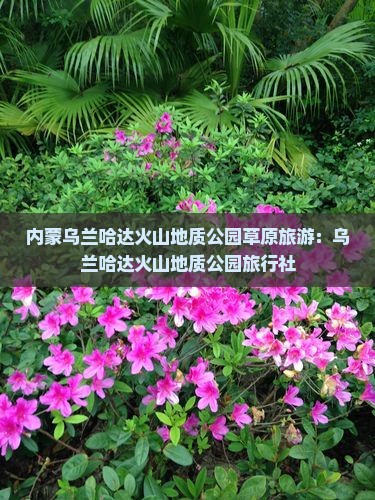 鹤壁到内蒙乌兰哈达火山地质公园旅行社