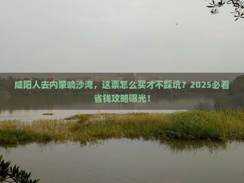 咸阳去内蒙响沙湾门票