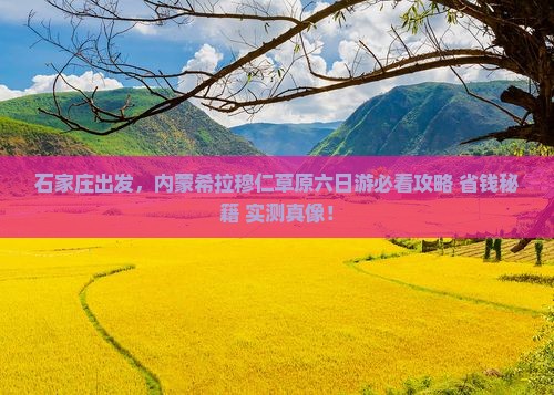 石家庄去内蒙希拉穆仁草原六日游
