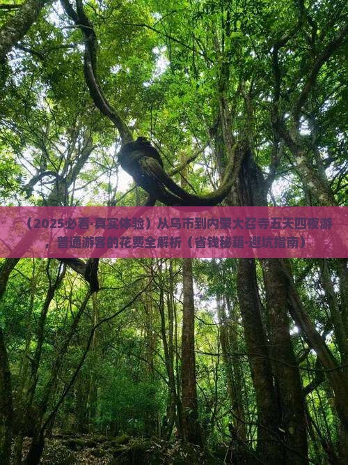乌鲁木齐到内蒙大召寺五日游