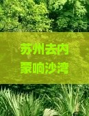 苏州去内蒙响沙湾自由团