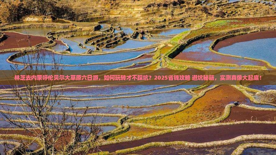 林芝去内蒙呼伦贝尔大草原六日游