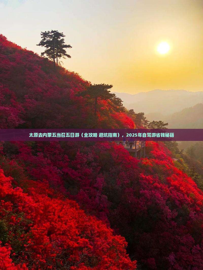 太原去内蒙五当召五日游