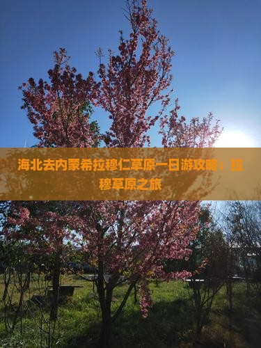 海北去内蒙希拉穆仁草原一日游