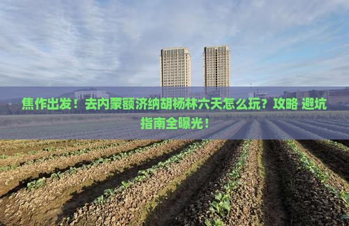 焦作去内蒙额济纳胡杨林六日游