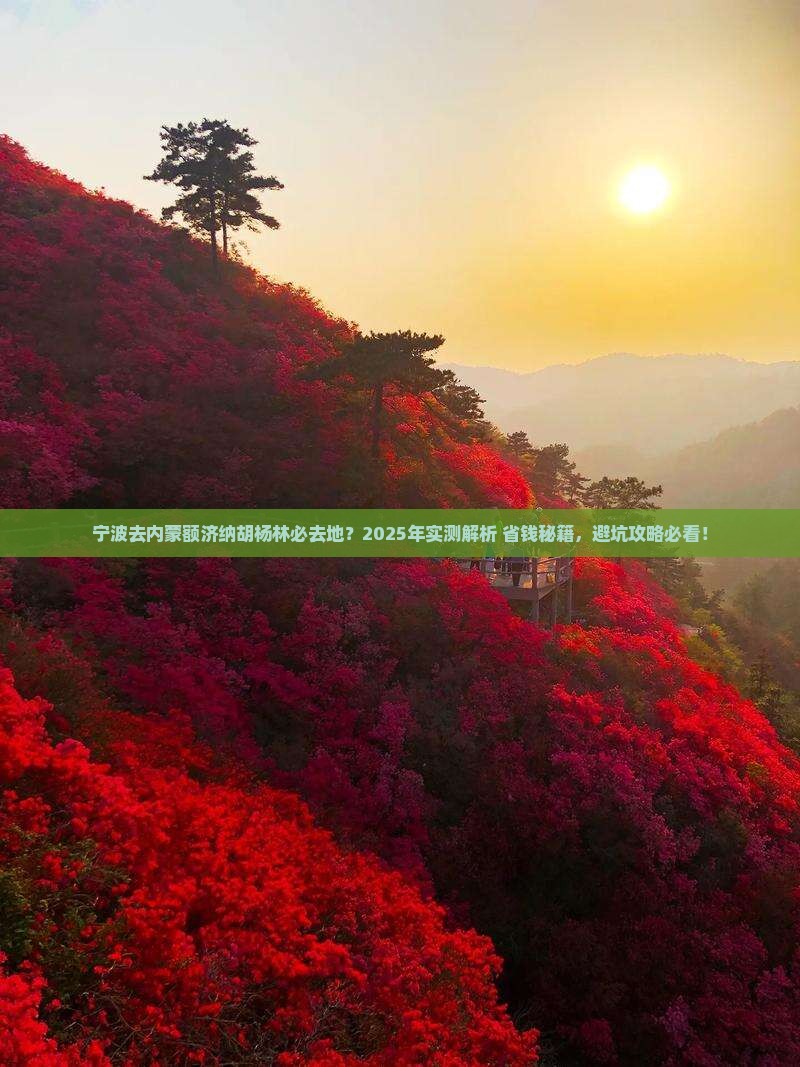 宁波去内蒙额济纳胡杨林必去地